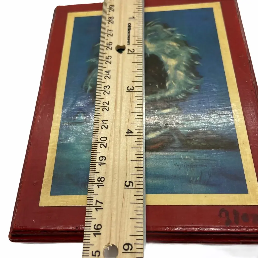 Inuit Decoupage Wall Hanging 1972 Novelty Kitsch Handmade Retro Chic by Fiona